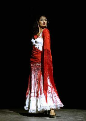 20081023142159-ballet-flamenco-madrid.jpg