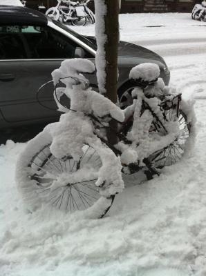20101223131013-bicicleta-nevada.jpg